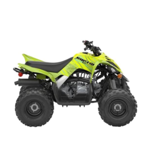 2026 Yamaha Raptor 110 for sale